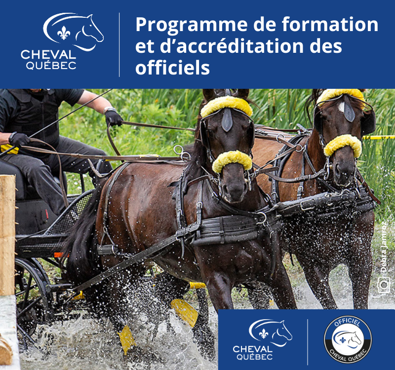 Accréditation de juge en concours combiné d’attelage